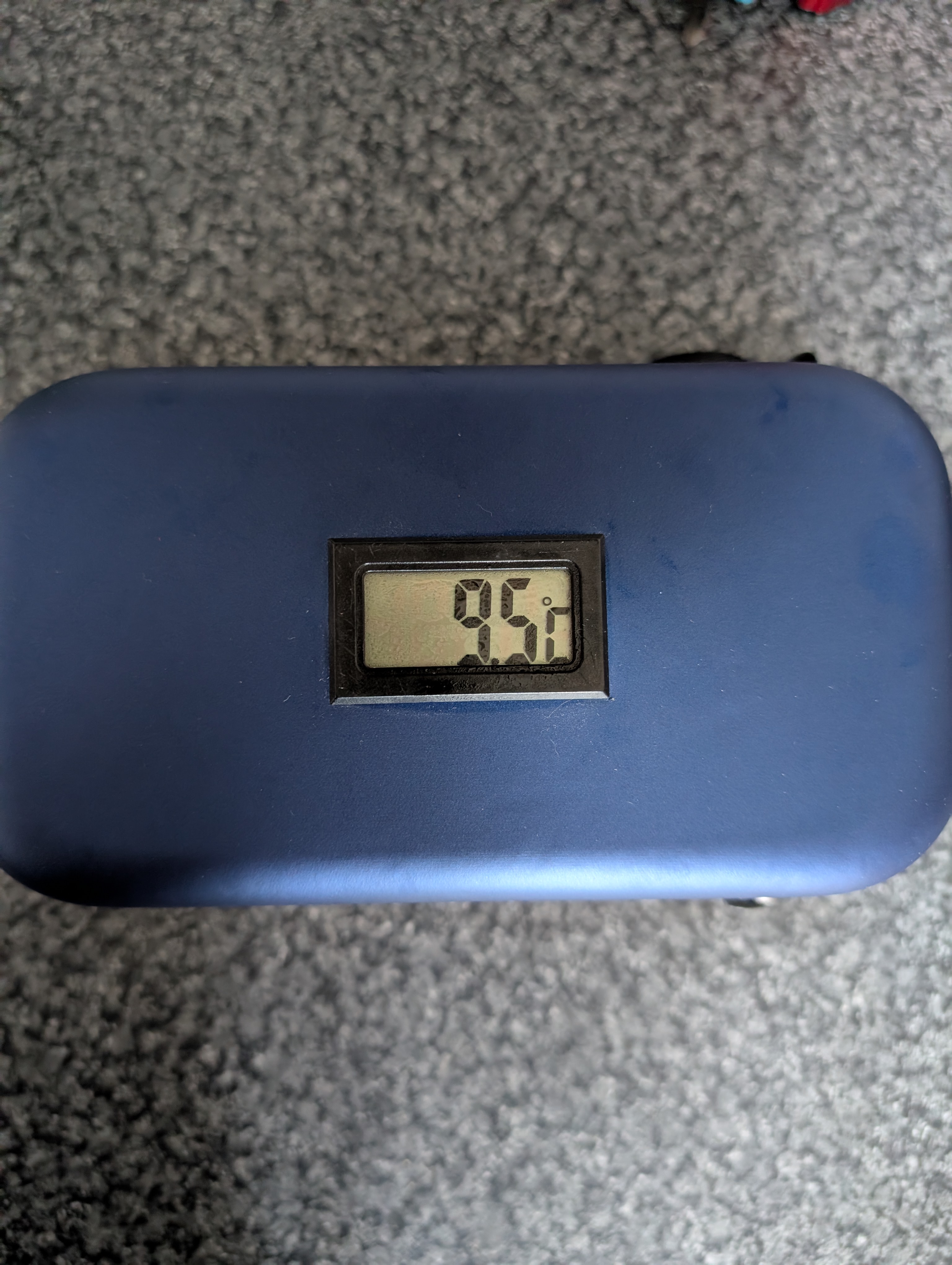 The closed insulin cooling wallet showing its built-in digital thermometer reading about 9.5 degrees Celsius